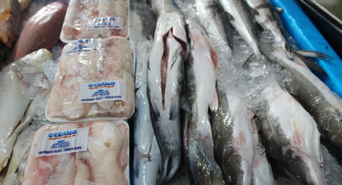 Mercado do Peixe