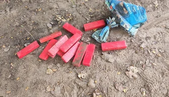 Drogas estavam enterradas na areia.