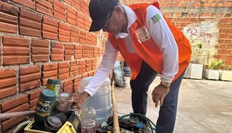 Ações de enfrentamento do mosquito Aedes aegypti