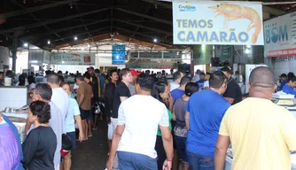 Mercado do Peixe de Teresina tem movimentação intensa