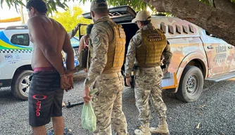 Cumprimento de 11 mandatos de busca