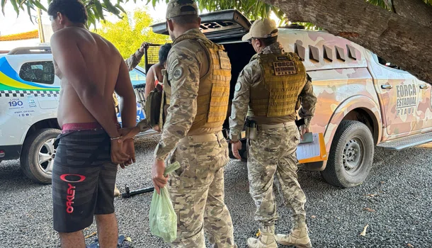 Cumprimento de 11 mandatos de busca