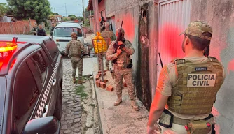 Operação falso vet