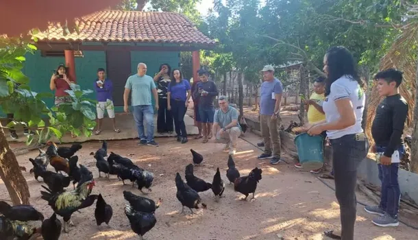 Prevenção à influenza aviária H5N1 de Alta Patogenicidade (IAAP)
