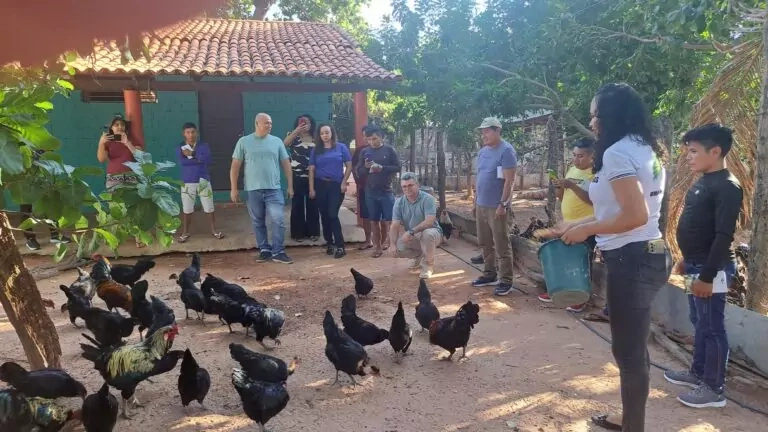 Prevenção à influenza aviária H5N1 de Alta Patogenicidade (IAAP)
