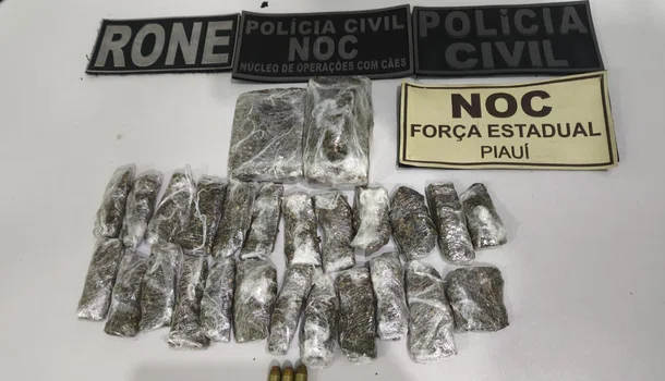 Materiais apreendidos pela Polícia Civil