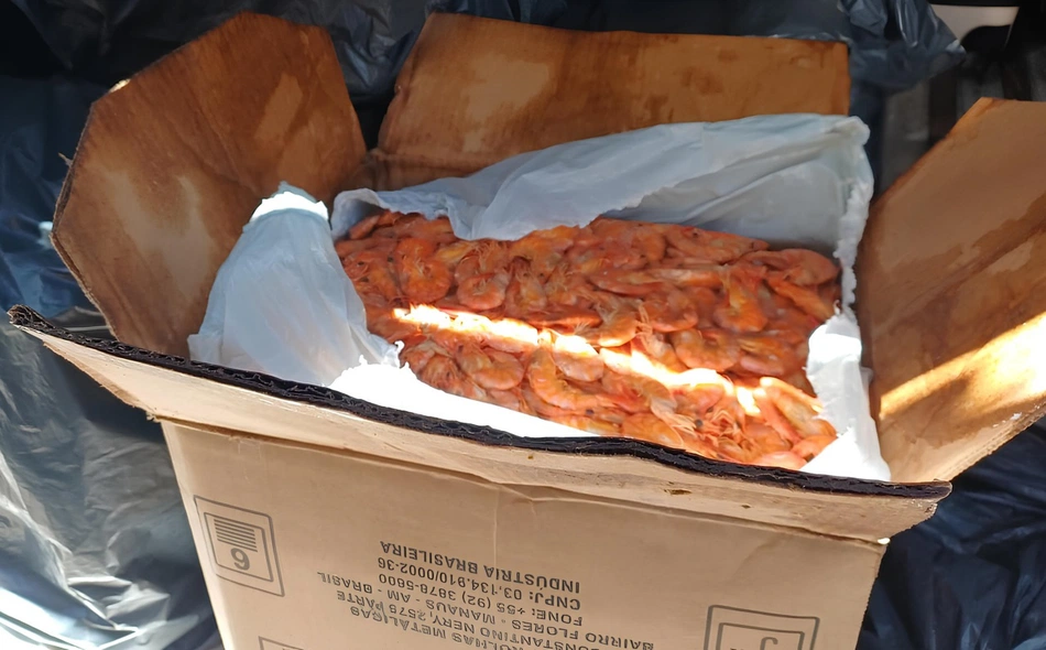 Adapi descarta mais de uma tonelada de pescado irregular