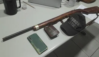Arma apreendida