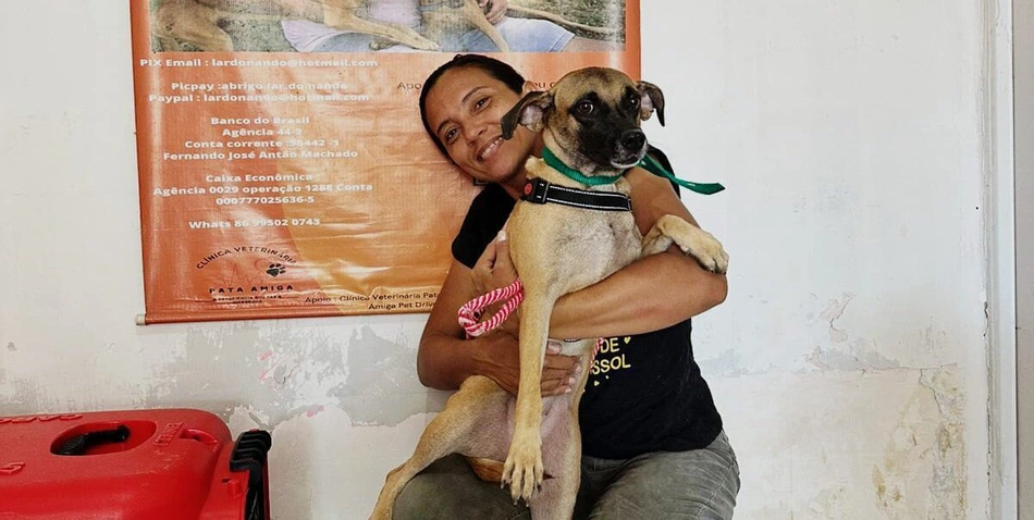 Semarh recebe 420 denúncias no Piauí