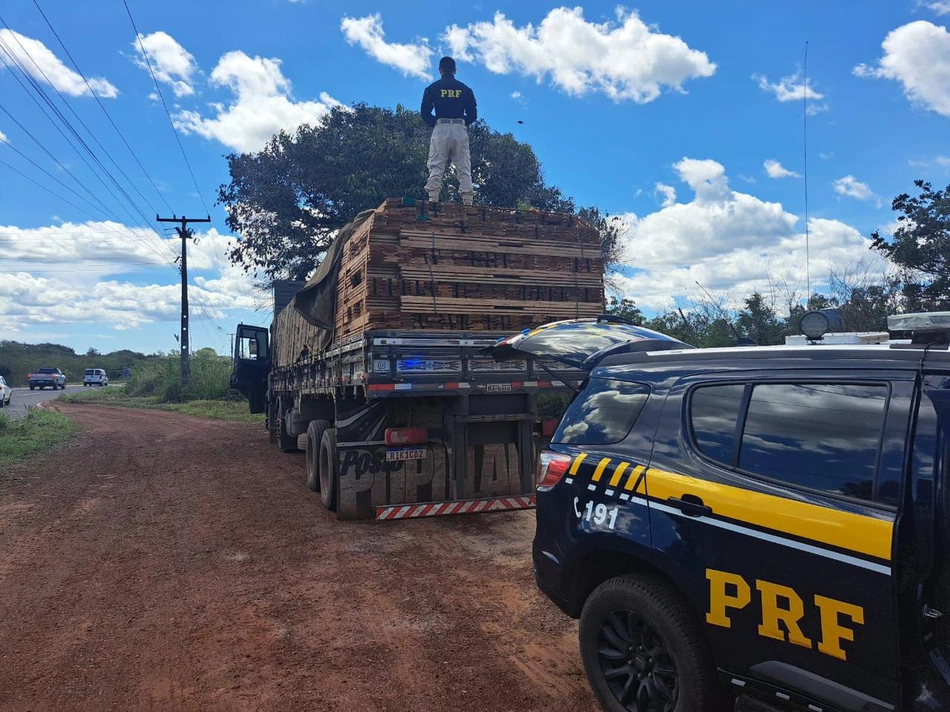 Madeiras apreendidas durante a operação.