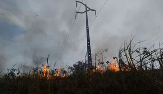 As queimadas provocam prejuízos à rede elétrica.