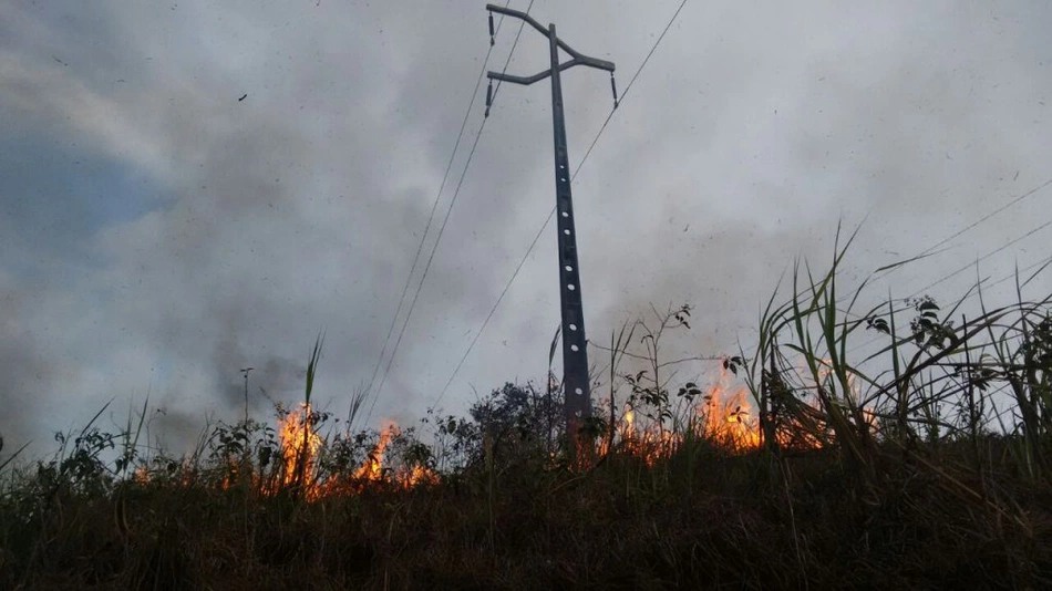 As queimadas provocam prejuízos à rede elétrica.