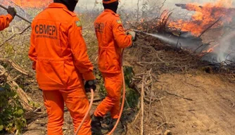 Incêndio em Pavussu .