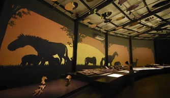 Museus da Serra da Capivara recebem mais de 20 mil visitantes
