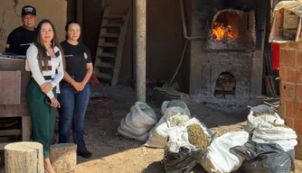Mais de 80 quilos de drogas são incinerados