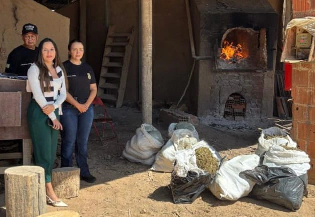 Mais de 80 quilos de drogas são incinerados