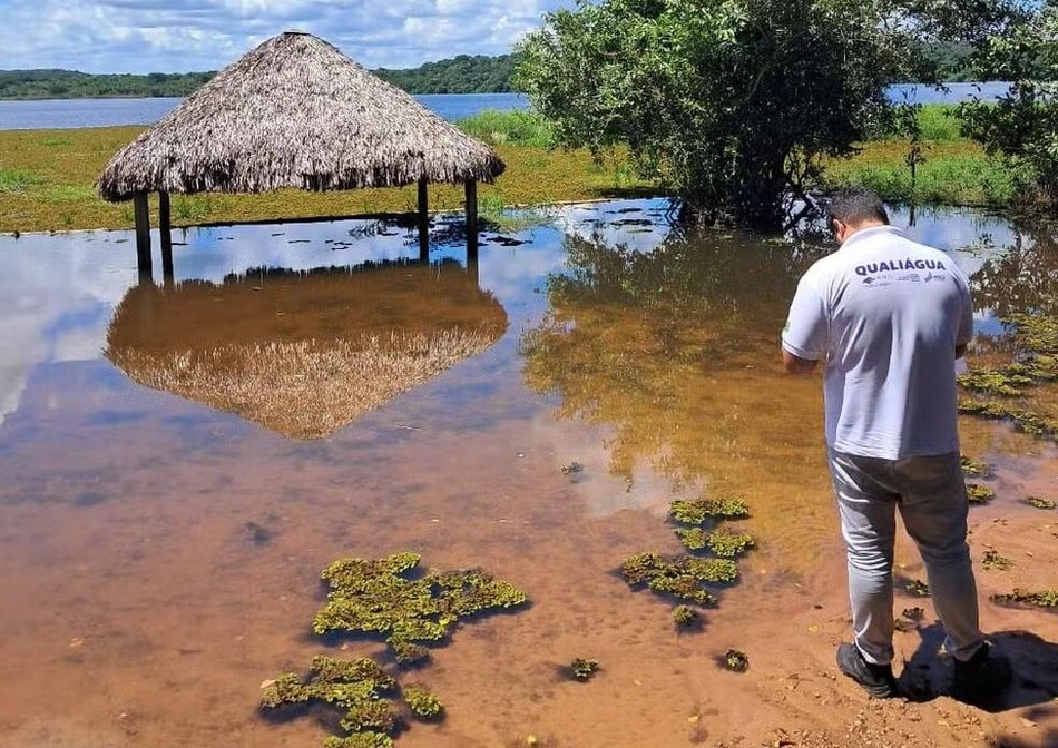 Proliferação de aguapés nos rios Poti e Parnaíba