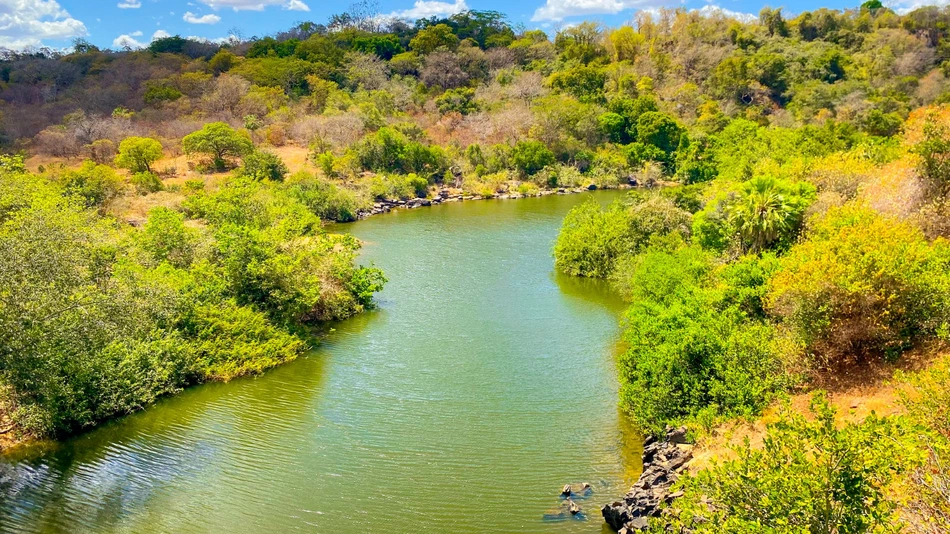 Cerrado no Piauí