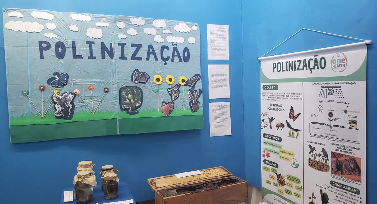Museu do Piauí