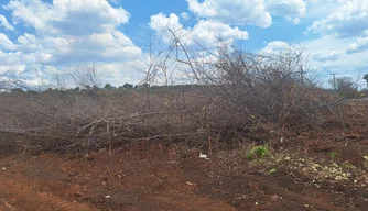 Queimada ilegal em Jardim do Mulato