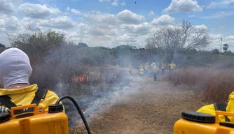 Queimadas no sudoeste do estado do Piauí