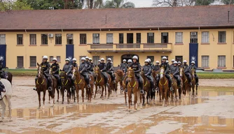 Cavalaria da Polícia Militar do Piauí