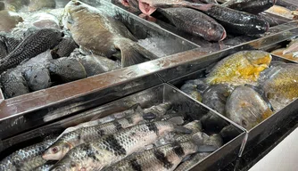 Mercado do Peixe