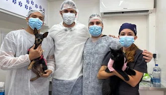 Atendimento feito por especialistas no Castramóvel