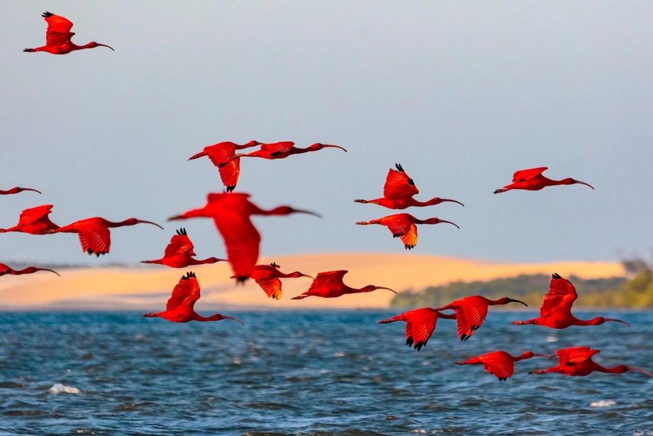 Rota das Emoções/ Delta do Parnaíba