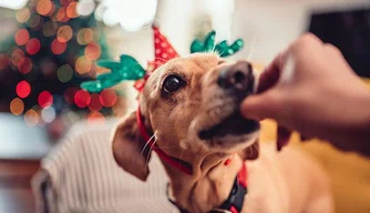 Cachorro no natal