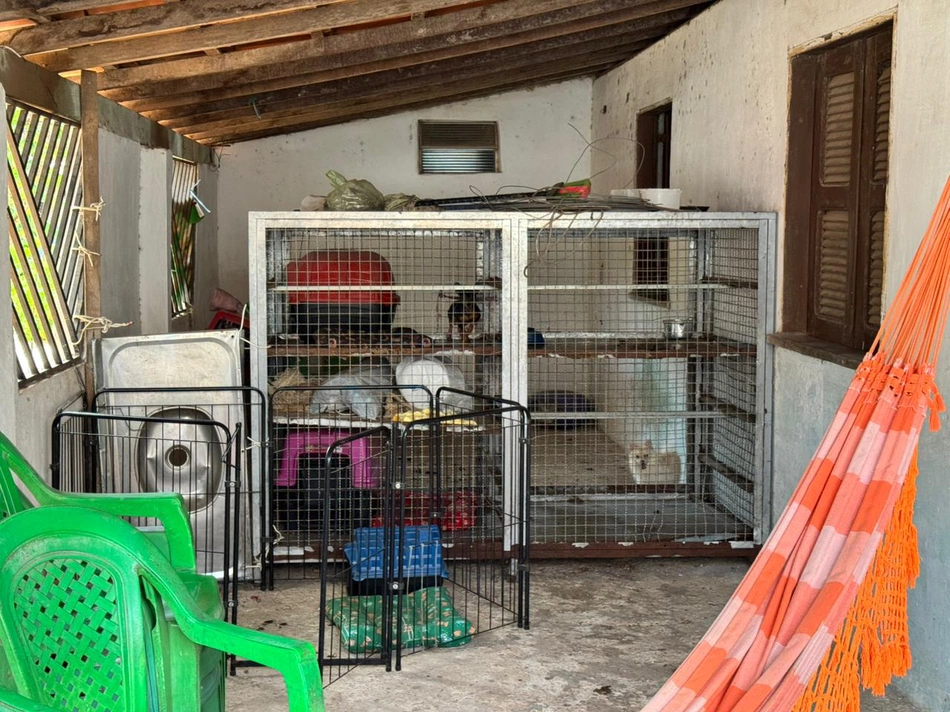Operação “Lucro Sujo” combate maus-tratos aos animais