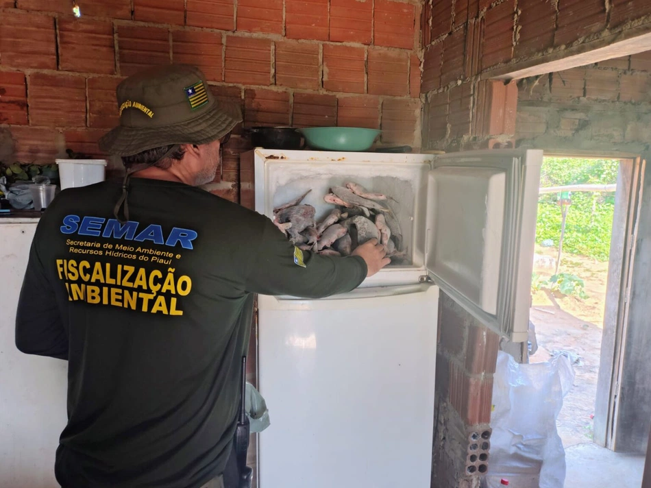 Semarh apreende 66 quilos de pescado