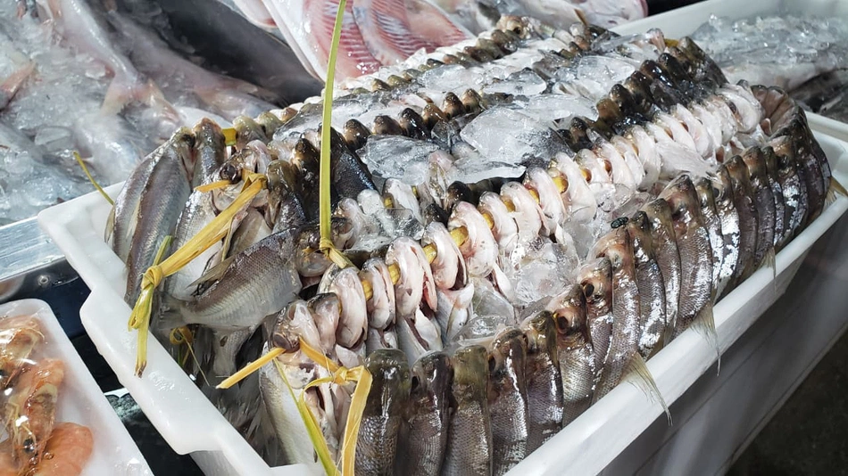 Mercado do Peixe de Teresina