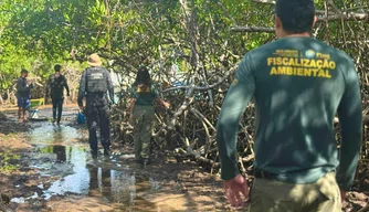 Período de defeso do caranguejo-uçá no Piauí
