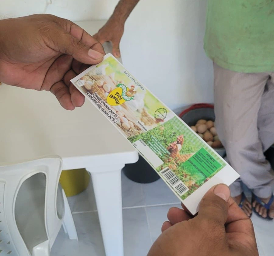 Produção de ovos caipiras em Esperantina