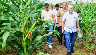 Campo agrícola da Santa Maria da Codipi