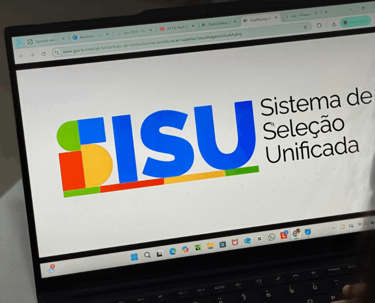 Sisu