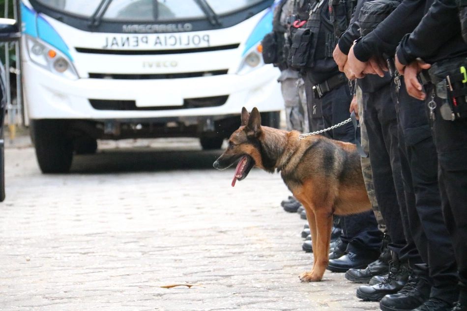 Operação Dominatus 12, sejus, polica penal, policia