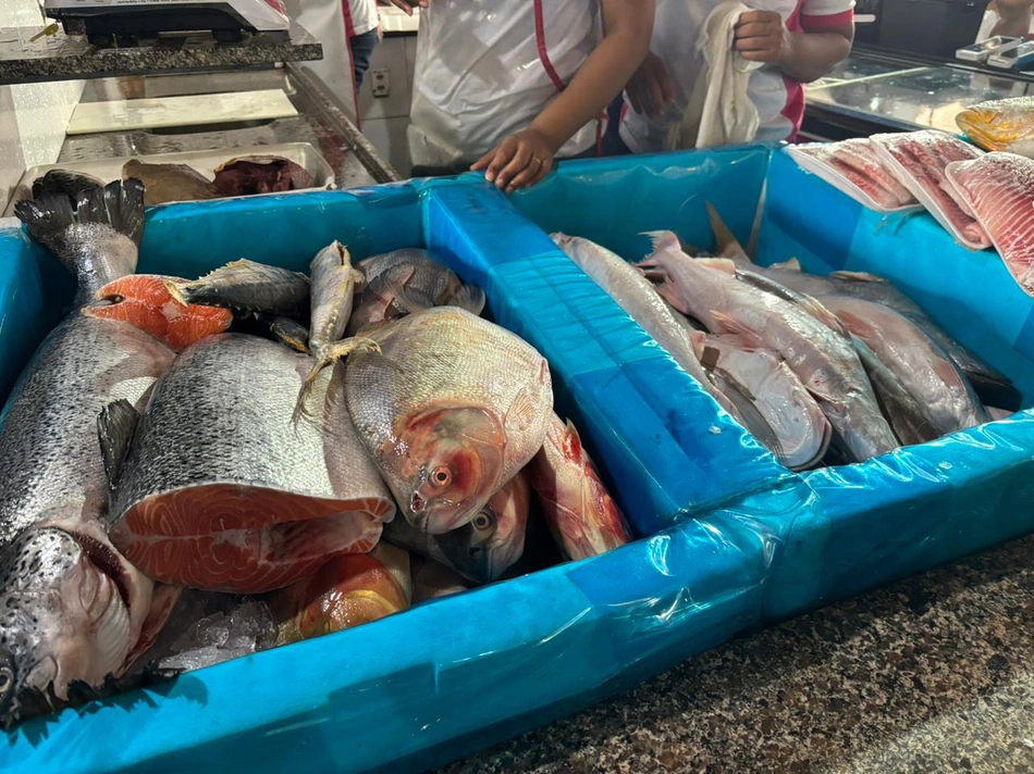 Mercado do Peixe, no bairro São João.