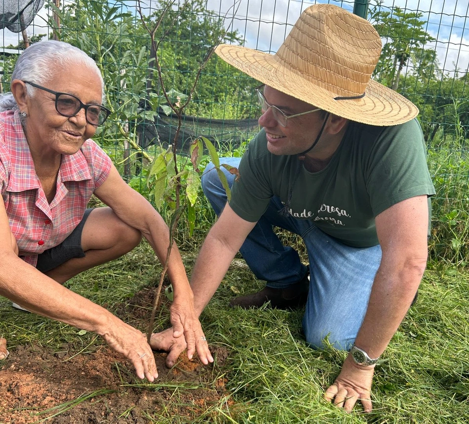 Mais de 100 mudas são plantadas na Avenida Noé Mendes em Teresina