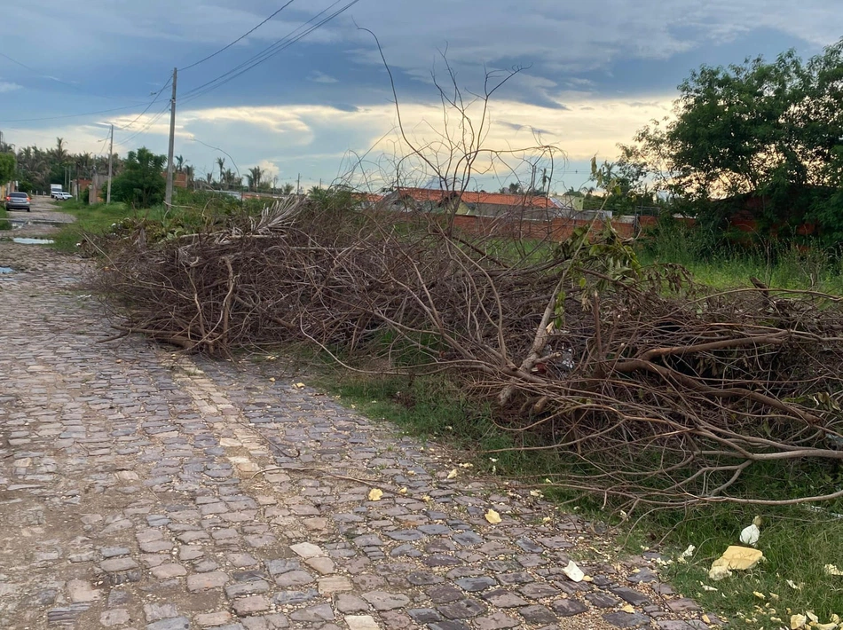 Rua 01, Conjunto Nova Teresina, no Bairro Aroeiras