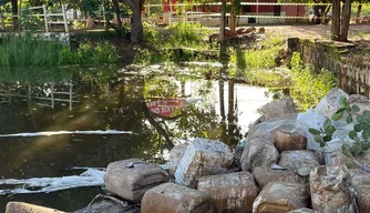 Carga contaminada que caiu em rio