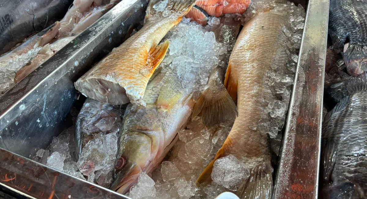 Mercado do Peixe de Teresina