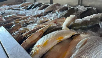 Mercado do Peixe de Teresina