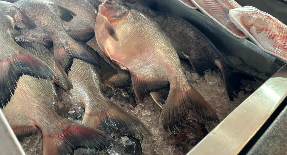 Mercado do Peixe de Teresina