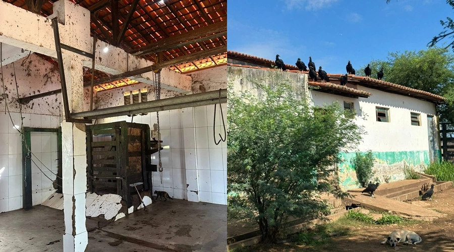 Matadouro público de Paulistana