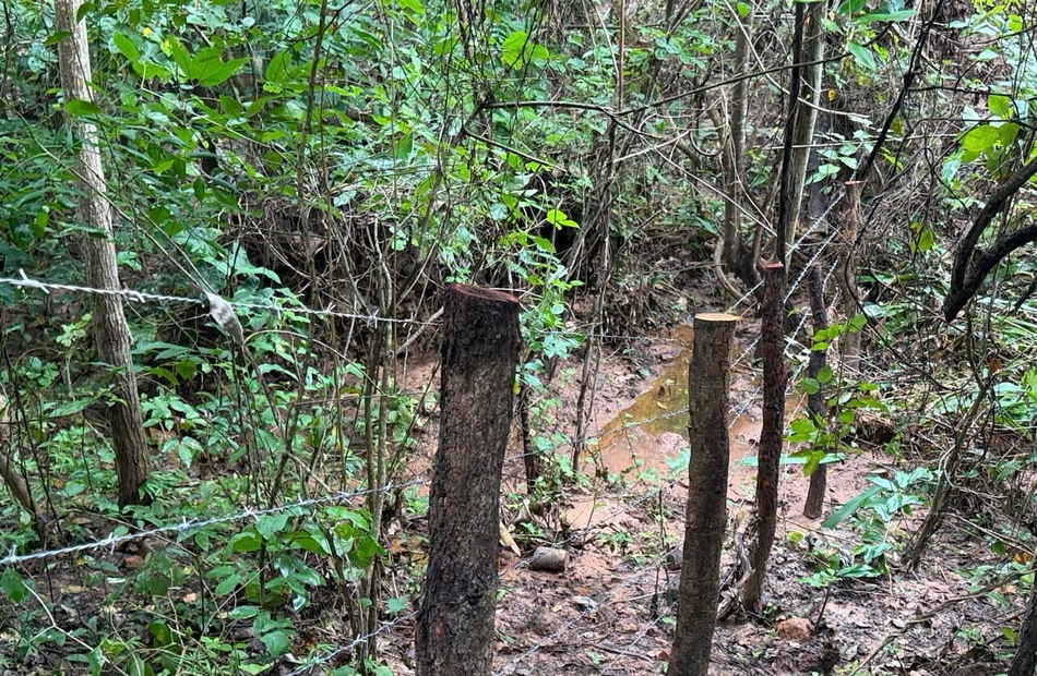 Secretaria do Meio Ambiente recupera cinco nascentes em Ribeiro Gonçalves, do Cerrado piauiense