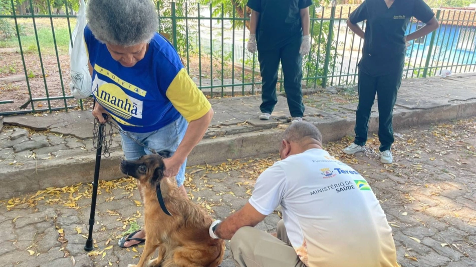 Campanha de vacinação contra raiva em Teresina
