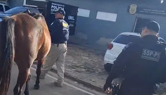 Operação Porteira Fechada