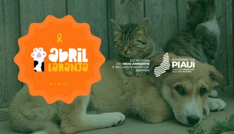 Ação alusiva à Campanha Abril Laranja, no Piauí